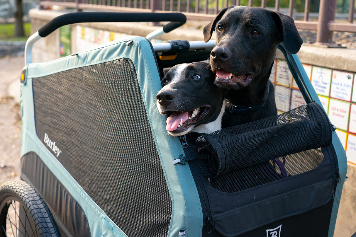 Burley Bark Ranger | XL Dog Bike Trailer & Stroller, Roomy Interior, Mesh Ventilation & Reinforced Removeable Floor