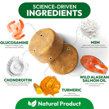 Load image into Gallery viewer, Petsology Glucosamine for Dogs - Hip and Joint Supplement for Dogs - 170 Mobility Chews - Glucosamine Chondroitin - MSM - Turmeric - Joint Pain Relief - Advanced Support for Dog Health - Made in USA