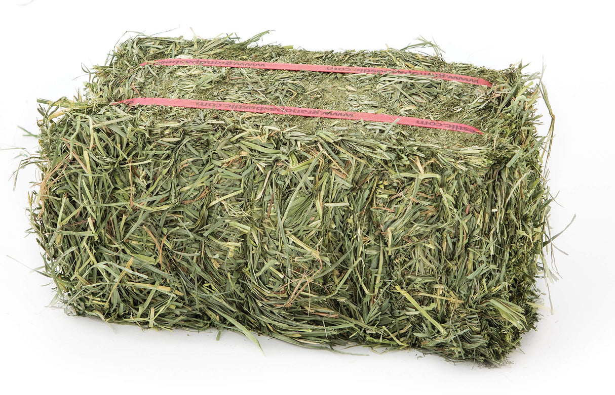 Grandpa's Best Orchard Grass Bale, 5 lbs,green