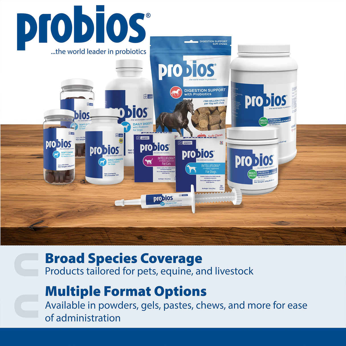 Probios for Dogs Soft Chews, Probiotics for Dogs, Daily Supplement for Gut Health, Digestion & Immune Support, Small Breeds, 4.23oz