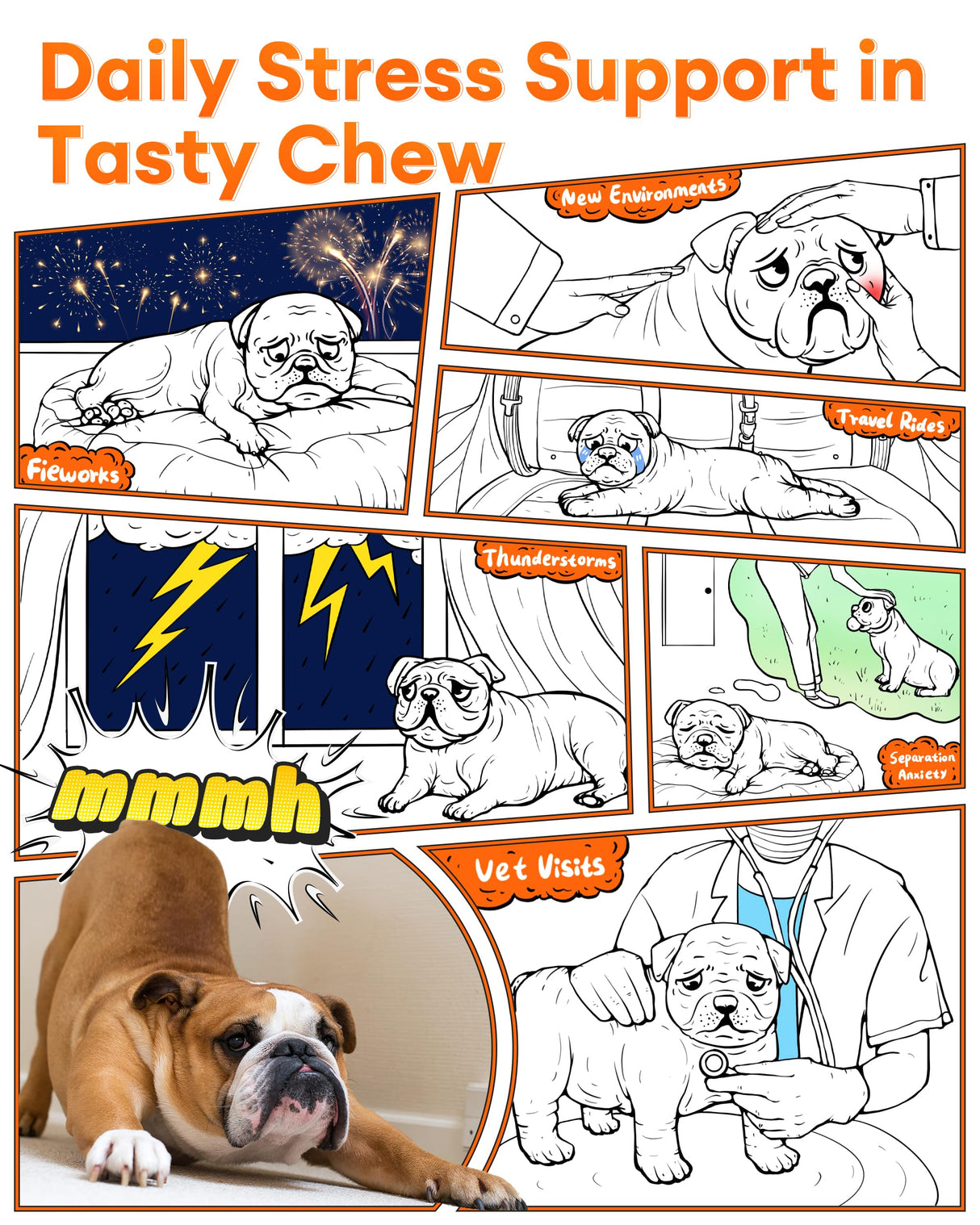 Calming Chews for Dogs 150ct - Anxiety Relief Support & Relaxation for Everyday Stress - Dog Soft Chews with Melatonin - Sleep Aid for Dogs (Peanut Butter Flavor)