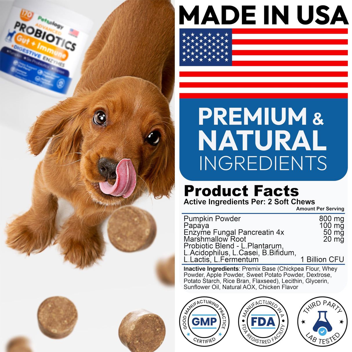 Probiotics for Dogs - 170 Dog Probiotics Chews - Digestive Enzymes & Prebiotics - Support Gut Health, Diarrhea, Gas & Constipation Relief - Itchy Skin, Allergies, Yeast Balance - Advanced Supplement