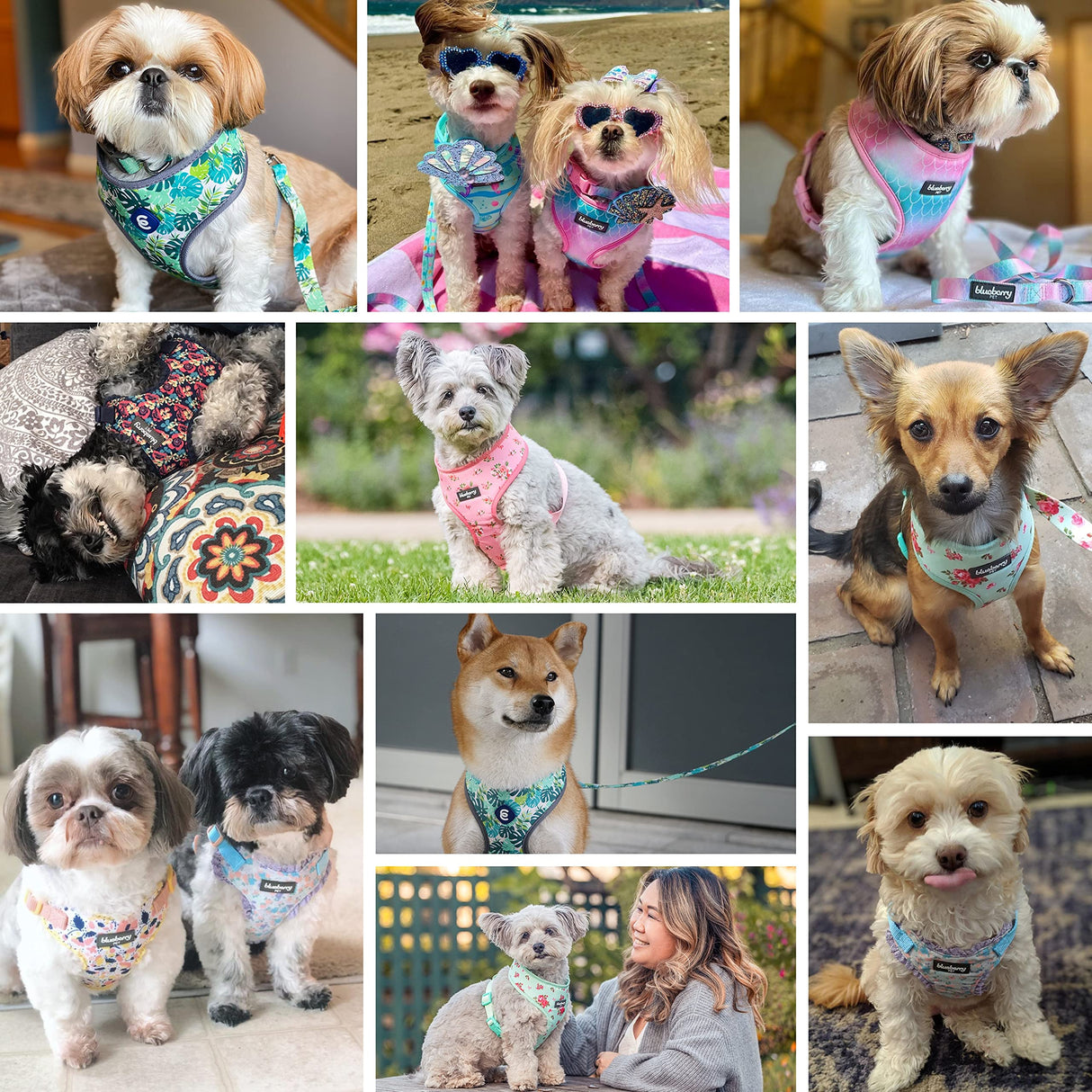 Blueberry Pet Soft & Comfy Made Well Elegant Floral No Pull Mesh Dog Harness Vest in Sleek Black, Chest Girth 17.5"-21", Small, Adjustable Harnesses for Dogs