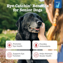 Load image into Gallery viewer, Zesty Paws Eye Supplement for Dogs - Vision Support with Antioxidants & Omega 3 Fatty Acids - 90 Chews
