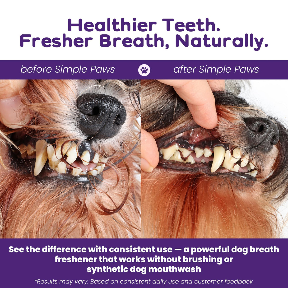 Dental Powder for Dogs Teeth – Dog Dental Powder for Teeth Cleaning – All Natural Bad Dog Breath Treatment with Probiotics for Fresh Breath & Oral Health – Chicken Flavored, 60 Scoop Supply