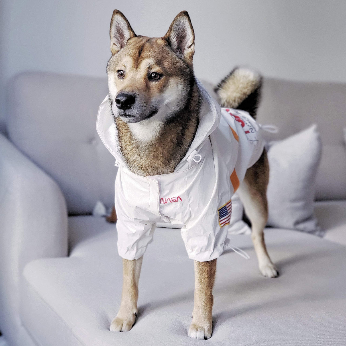 ChoChoCho NASA Raincoats, Reflective Rain Jacket Water Proof, Dog Costume, Cat & Puppy Stylish Streetwear Outfit (White, 2XL)