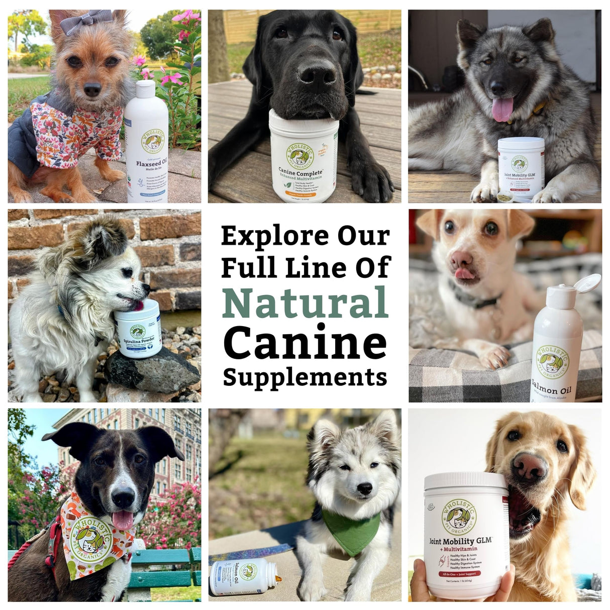 Wholistic Pet Organics Canine Complete - Dog Multivitamin Powder - 1 Lb - Daily Dog Vitamins and Supplements for Homemade Food - Immune System, Skin, Coat & Overall Health - All Breeds - 45 Scoops