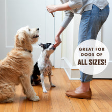 Load image into Gallery viewer, Rocco & Roxie Beef Jerky Dog Treats 1 lb | Soft Training Snacks Made in USA | High Value Beef Jerky for Dogs, Small, Large Breeds, Seniors, and Puppies | Natural Chews for Rewarding Good Behavior