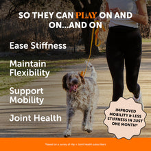 Load image into Gallery viewer, Pet Honesty Hip & Joint Health Soft Chews for Dogs, Joint Supplement with Glucosamine Chondroitin, MSM, Turmeric, Joint Support + Mobility, May Reduce Occasional Discomfort (Chicken 90 Count)