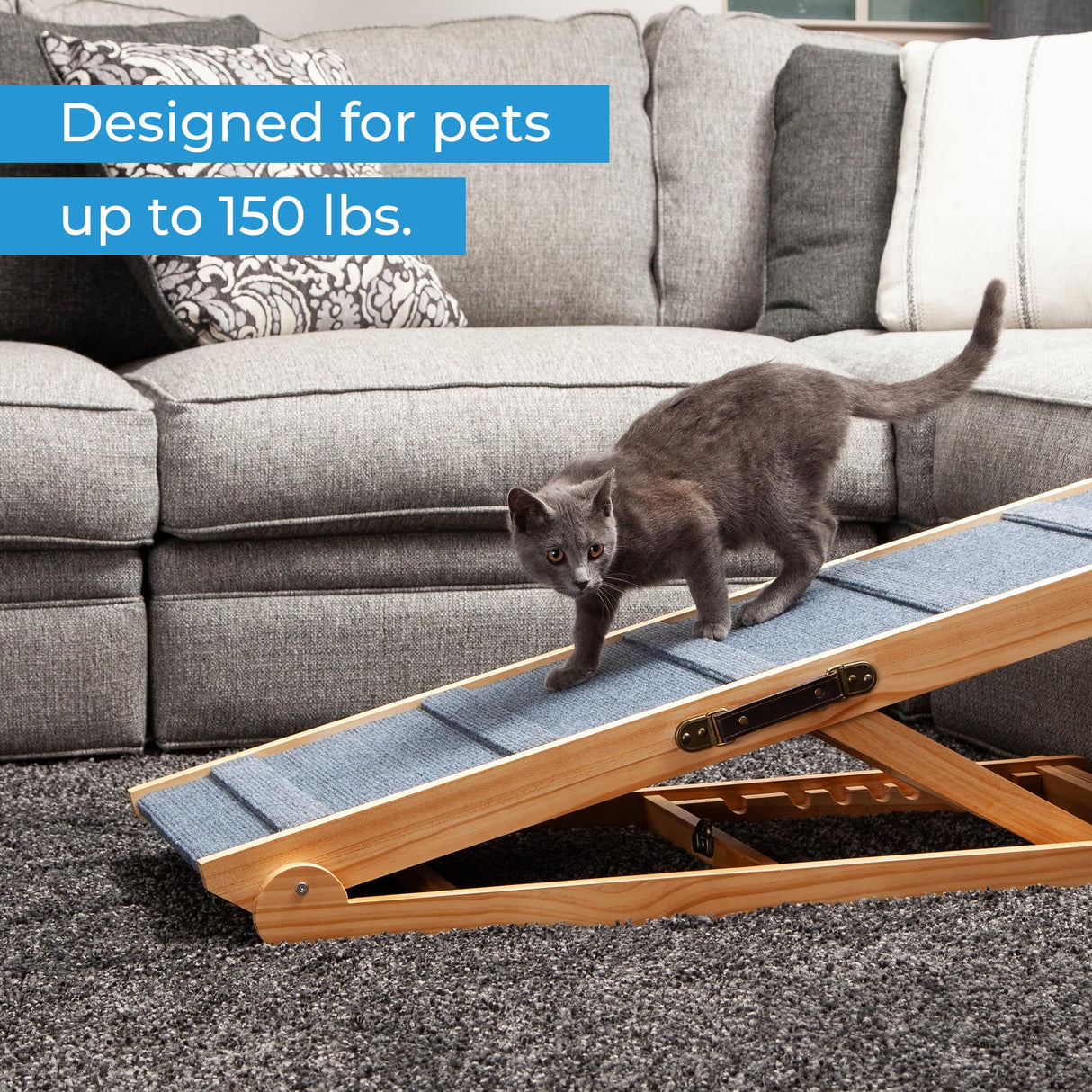 Dog-Proofer Pet Ramp - Lightweight and Durable Non-Slip Design for Pets Up to 150 Pounds, 6 Adjustable Easy-Access Heights, Folds Flat for Compact Storage, Up to 24.68 Inches Tall
