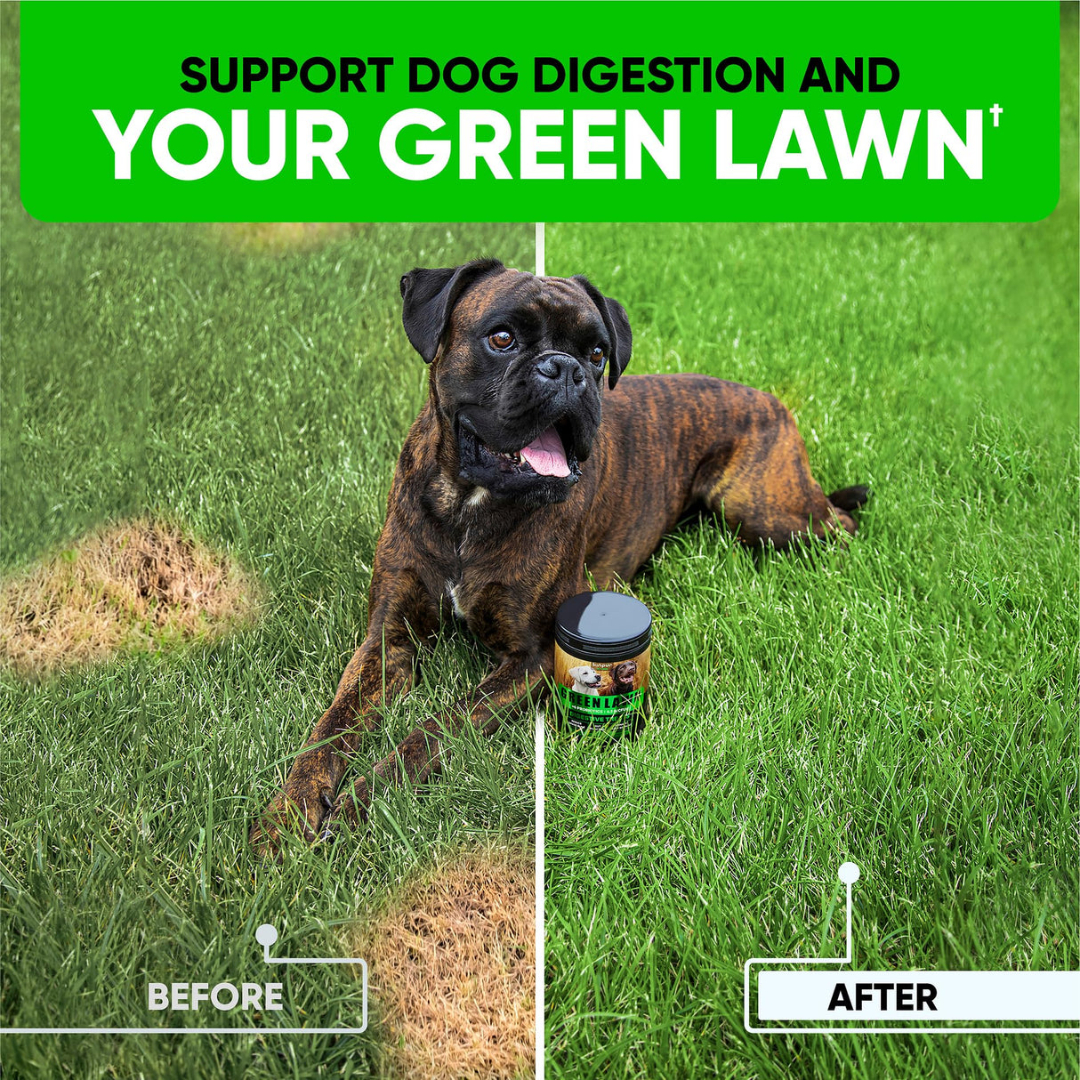 Green Lawn Chews for Dogs - Natural Dog Urine Neutralizer for Lawn with Cranberry, Probiotics, ACV & Digestive Enzymes - 120 Chews for Healthy Bladder, Urinary Tract - Grass Burn, Yellow Spots Treats