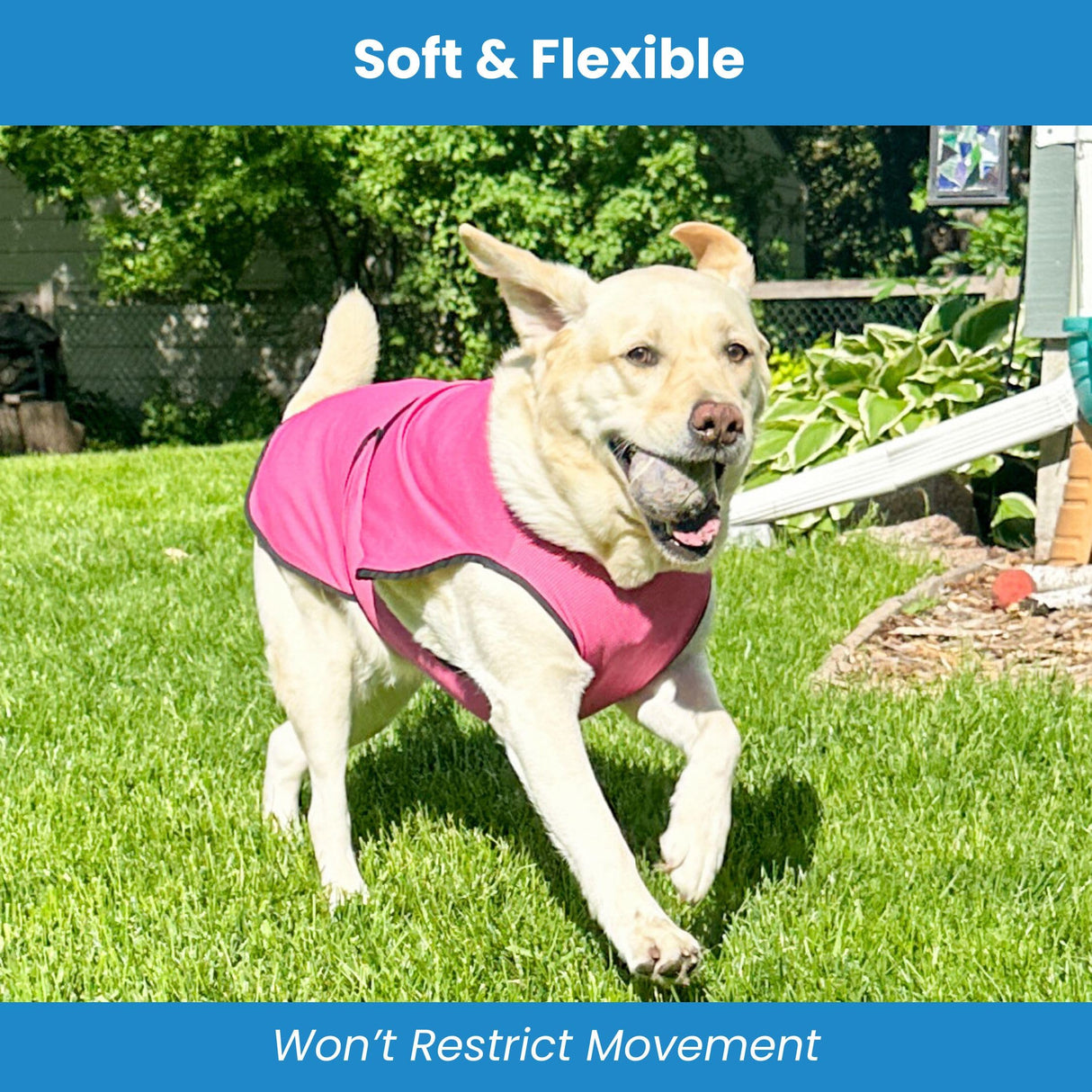 DOGZSTUFF Dog Cooling Vest – Lightweight Evaporative Shirt with UV Protection for Small, Medium, and Large Dogs – Breathable Soft Fabric for Hot Weather (S, Dark Blue)