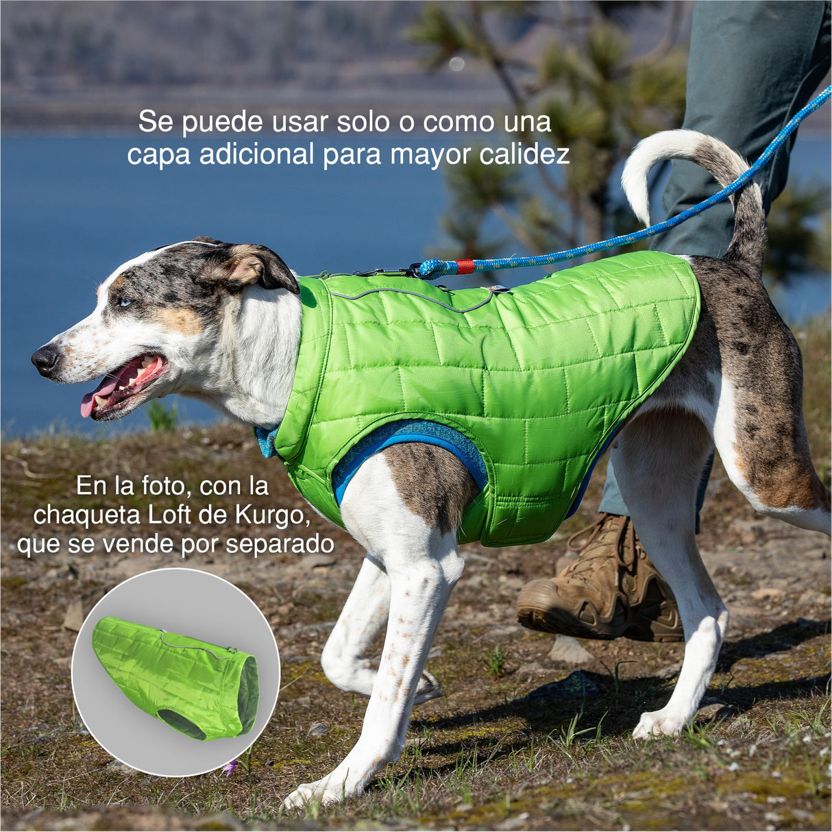 Kurgo Core Dog Sweater, Knit Dog Sweater With Fleece Lining, Cold Weather Pet Jacket, Zipper Opening for Harness, Adjustable Neck, Year-Round Sweater for Small Dogs (Heather Violet, X-Small)