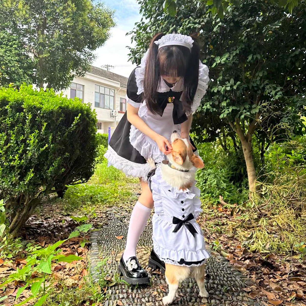 FLAdorepet Large Dog Dress Maid Costume with Headband,Halloween Lolita Costume Outfits,Puppy Christmas Holiday Wedding Princess Dress (Black, XX-Large(Fit 60-80LBS))