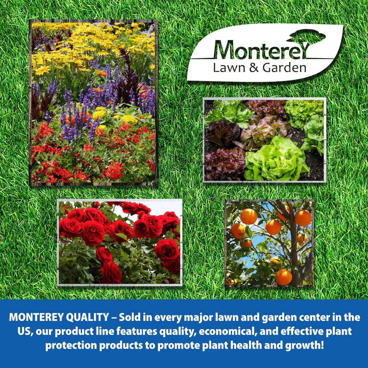 Monterey - Liqui-Cop - Copper Garden Spray Fungicide for Disease Prevention - 1 Gallon Concentrate