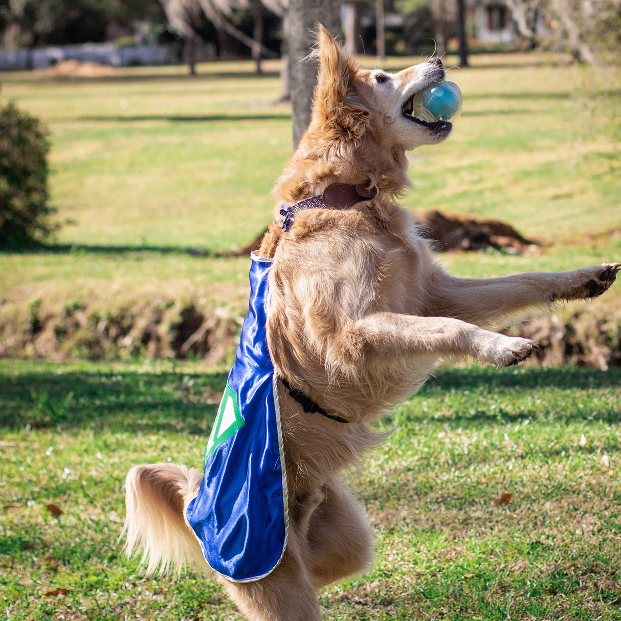 Everfan Personalized Dog Superhero Cape (X Large 25" Long (50-90 lbs), Navy Blue)