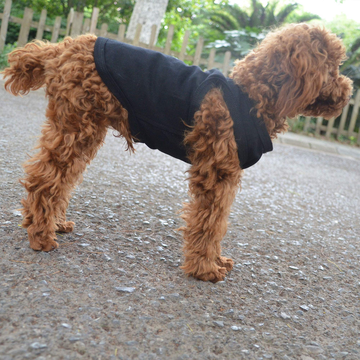 2018 Pet Clothes Dog Clothing Blank T-Shirt Tanks Top Vests for Small Middle Large Size Dogs 100% Cotton Dog Summer Vest Classic (XXXXL, Black)
