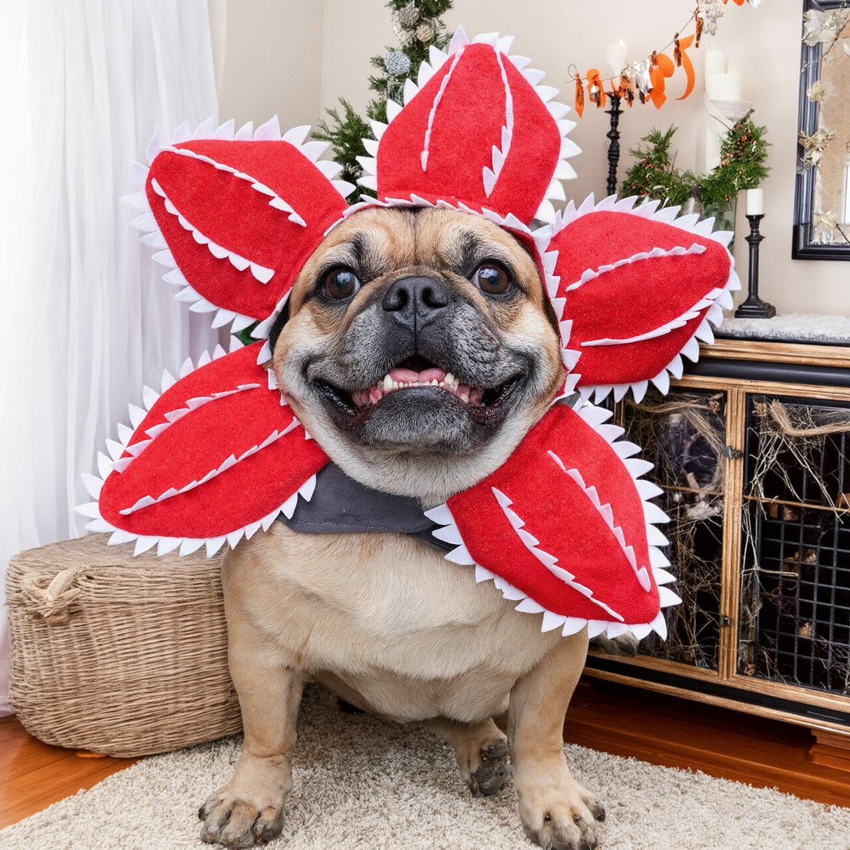CHEERTAILS Dog Costume Hat Ear Wrap Piranha Plant Design, Funny Dog Halloween Costumes Headwear, Warm Pet Ear Head Wrap for Cold Weather, Pet Cosplay Clothes for Birthday Party, Christmas,M