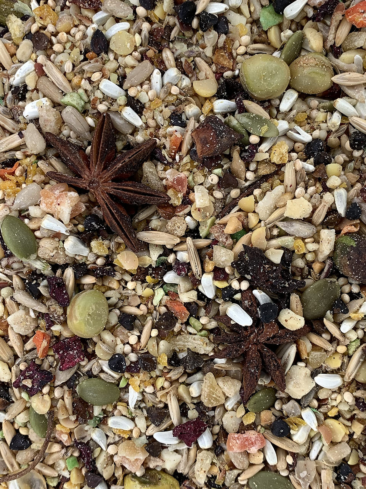 Goldenfeast VL South American Blend, 3 lb Bag
