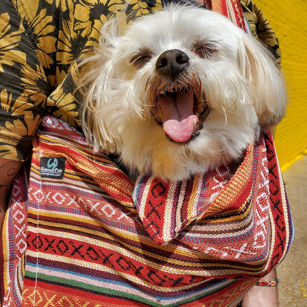 Dog Sling Carrier 100% Organic Cotton for Cats Too (Salsa)