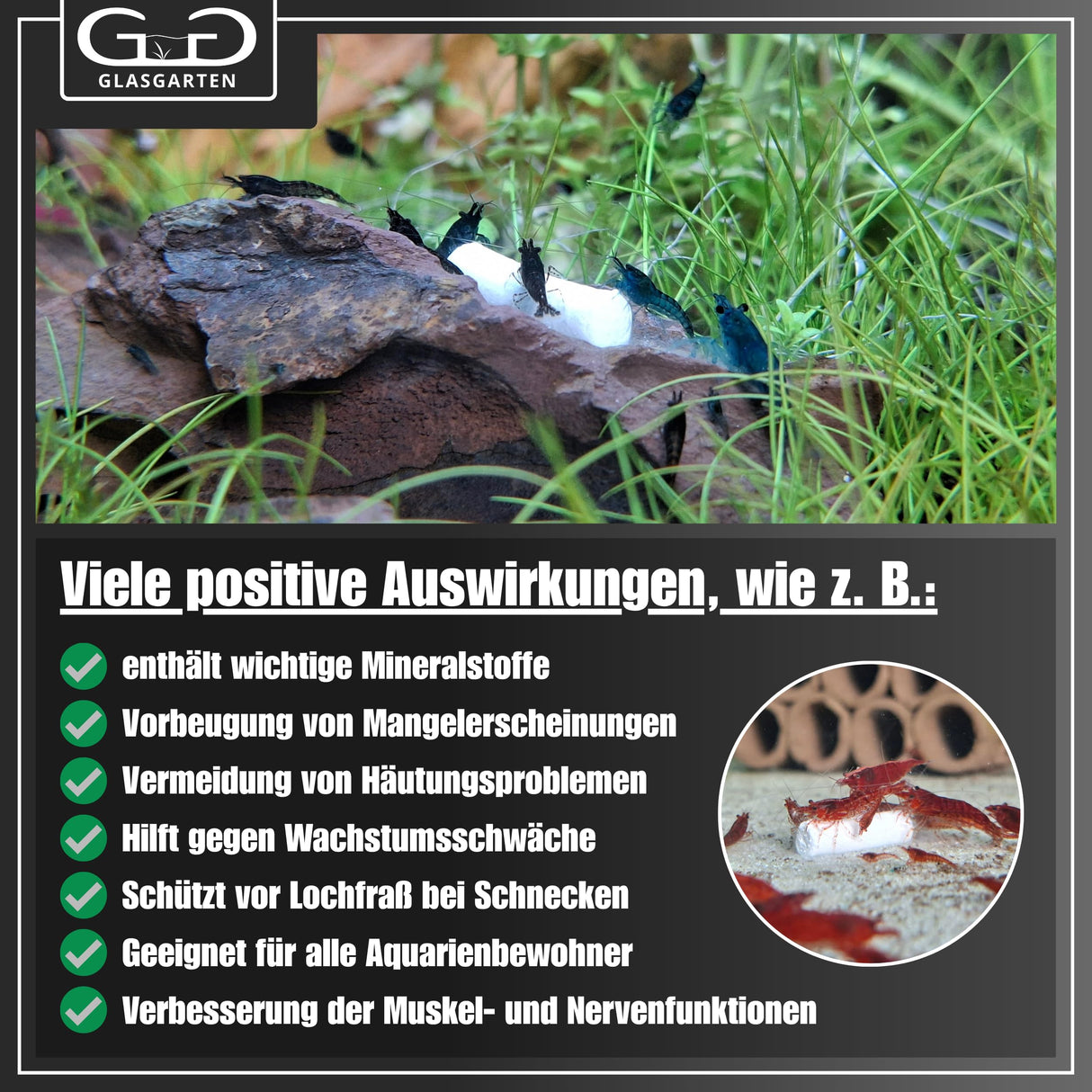 GlasGarten Mineral Junkie Bites (Sticks) for Shrimps, Crayfish, Crabs, Snails (50g)