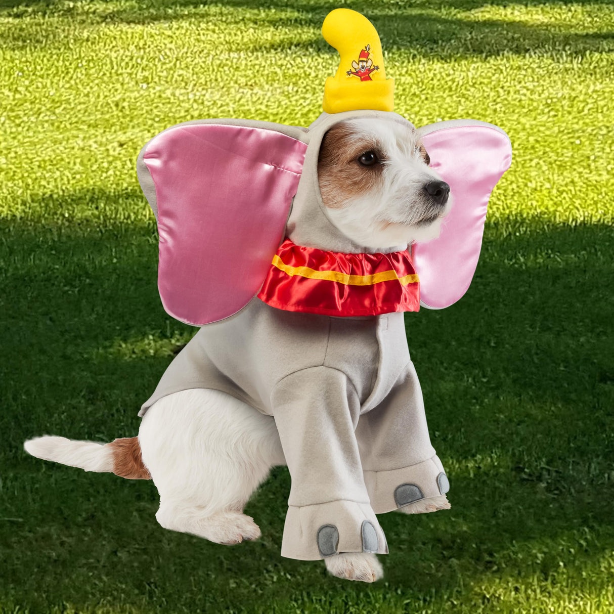 Disney: Dumbo Costume for For Dogs or Cats by Rubies, XL