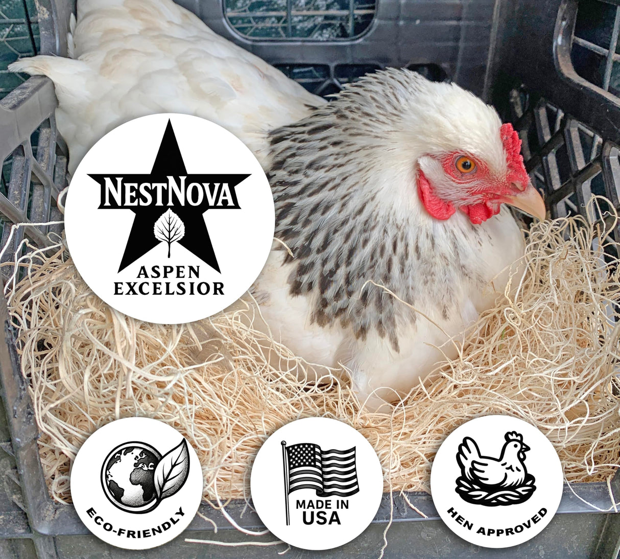 NestNova™ Aspen Excelsior – 2 lb Box of All-Natural USA-Grown Aspen Wood Fiber | Eco-Friendly Nesting Material for Chicken Coops, Small Pet Bedding, Crafts & Gift Baskets | Biodegradable, Hand-Packed