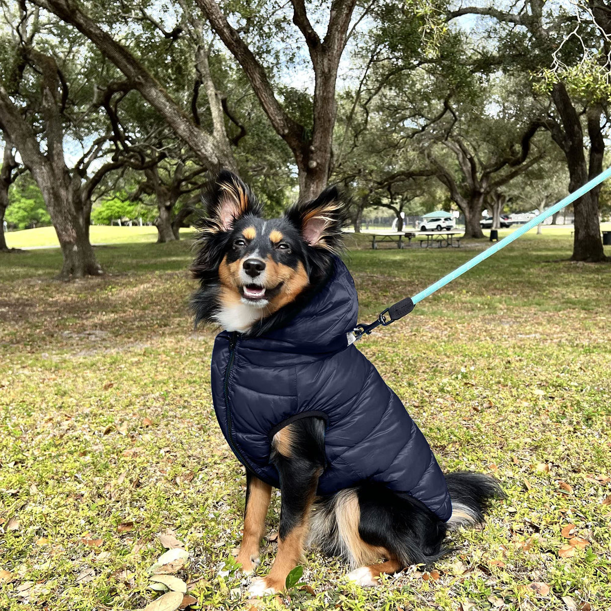 Pawtitas Reversible Windproof Dog Jacket | Water Resistant | Winter Coat for Puppies - Red & Blue Up Dog Vest - Small Breed - Pouch Included