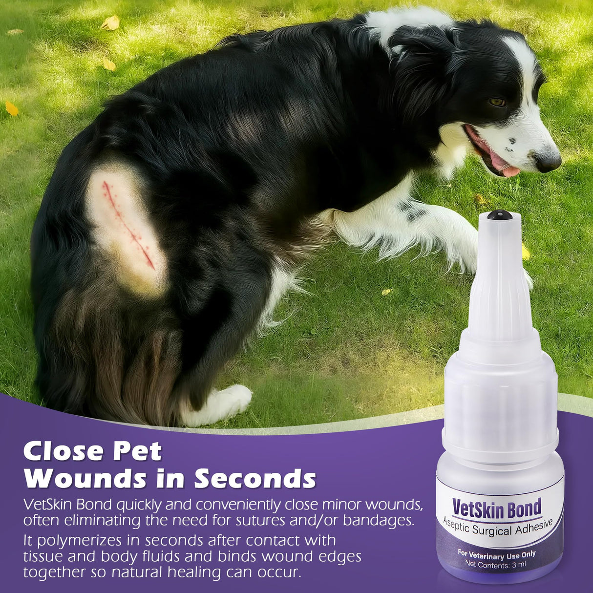 1 Pack 3ml Veterinary Surgical Skin Glue with 10 Precise Applicators, Strong Surgical Adhesive, Blue-Tinted Animal Tissue Wound Glue, Fast Bleeding Control and Waterproof Wound Sealant for Pets