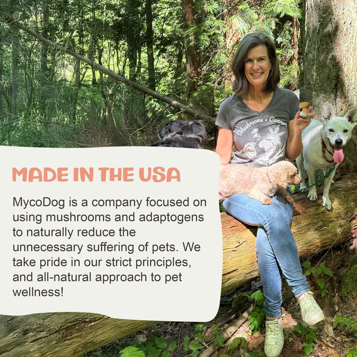 MycoDog Lions Mane Mushroom Supplement for Dogs - Cognitive & Brain Health - Lions Mane for Dogs - Senior Dog Wellness Drops