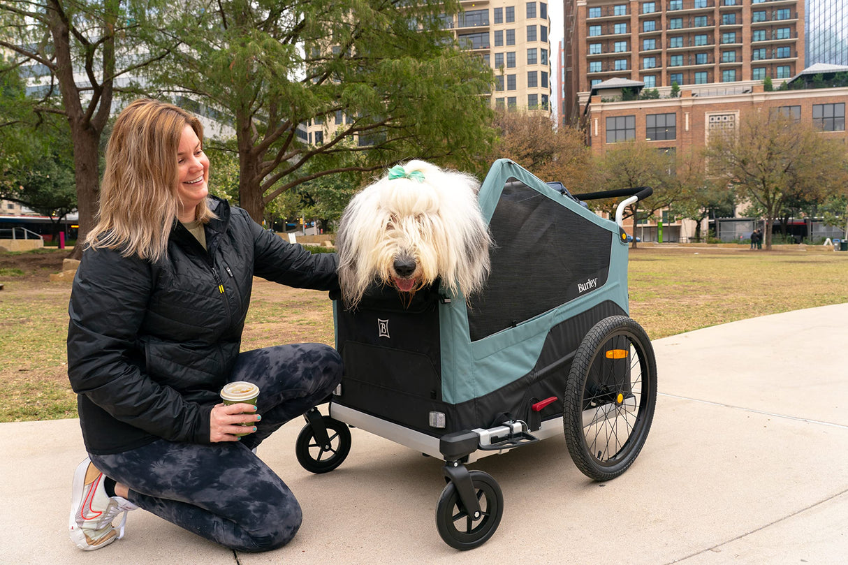Burley Bark Ranger | XL Dog Bike Trailer & Stroller, Roomy Interior, Mesh Ventilation & Reinforced Removeable Floor