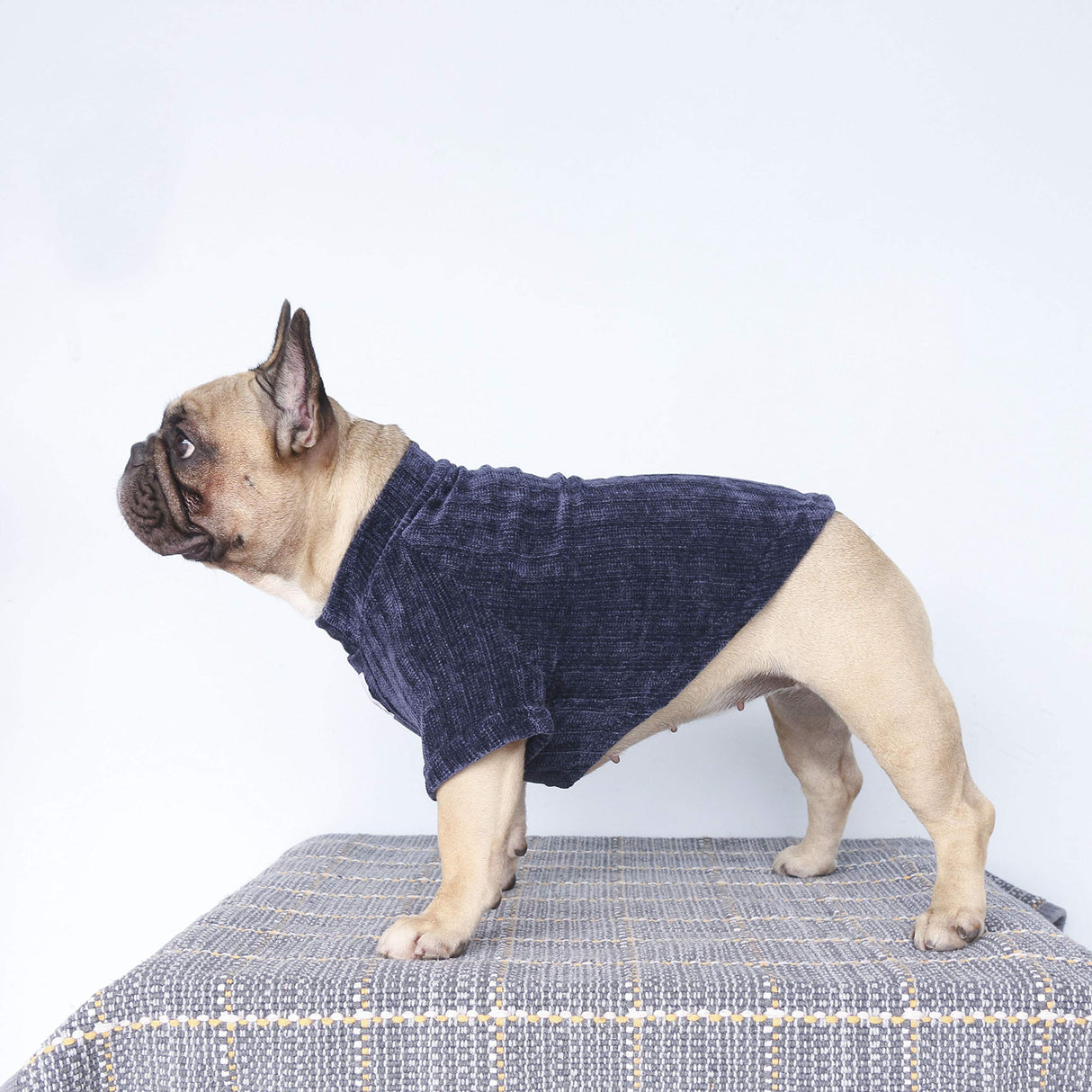 iChoue Pet Dog Winter Warm Sweater Clothes Turtleneck for French Bulldog Pug Boston Terrier Corduroy Cold Weather Pullover Coat Shirt - Blue/Large Plus