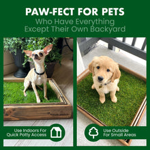 Load image into Gallery viewer, Fresh Patch Real Grass Patch for Dogs, Cats, and Small-Medium Pets Under 15 Pounds – Disposable Pet Grass Pee Pads – Indoor and Outdoor Potty Training Mat (16 Inches x 24 Inches)