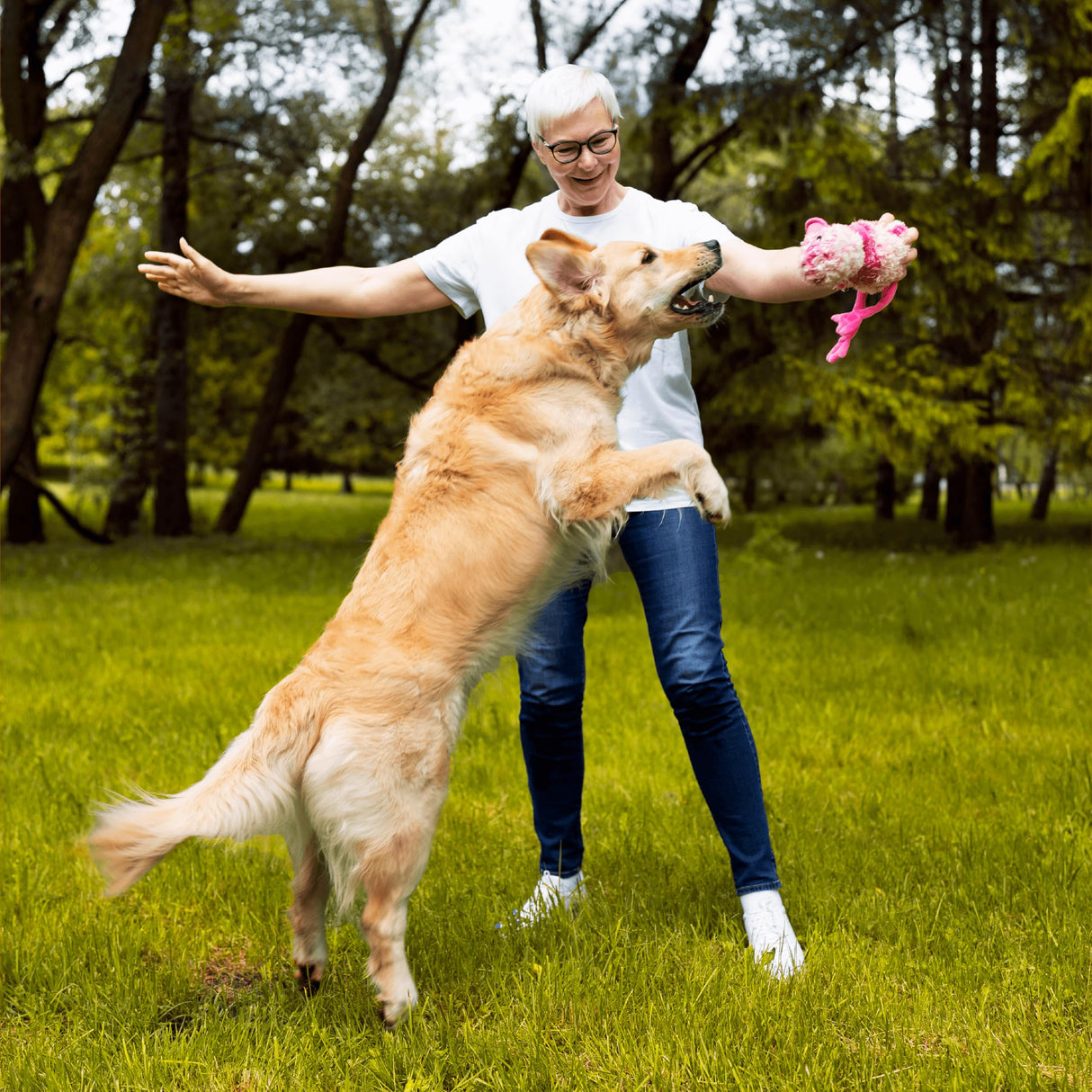 Pawlabs G-Max Joint Support for Dogs - Maximum Strength Hip & Joint Supplement with Glucosamine, Chondroitin, MSM etc - Relieves Arthritis Pain & Hip Dysplasia - Bacon Flavor, 60 Chews
