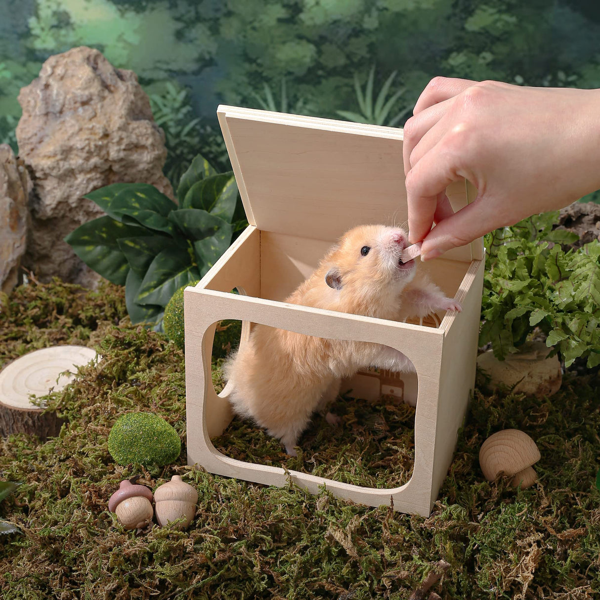 Tafit Hamster Hideout Wooden House Chamber Small Animals Pets Tunnel Exploring Toys Secret Peep Shed for Dwarf Hamsters, Syrian Hamsters, Gerbils, Hedgehogs, Rats, Mice (Living Room)