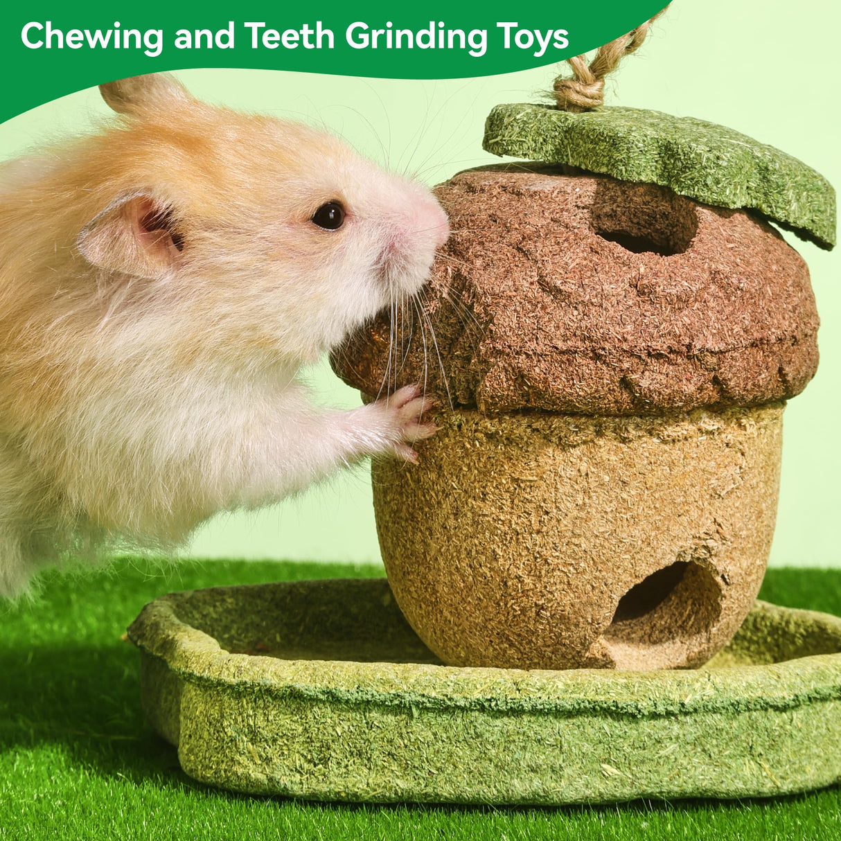 Rodizoo 2 Pack Guinea Pig Chew Toys Natural Rabbit Chew Toys Hamster Molar Teeth Toys, Made with Natural Timothy Grass & Vegetables, Mushroom & Tree Shaped Habitat Decoration, Small Animal Toys