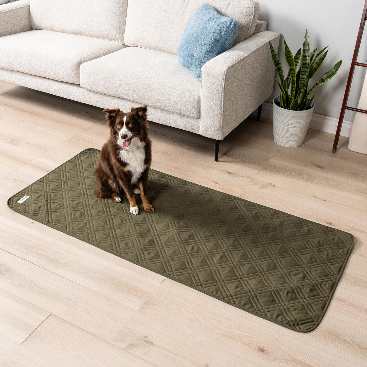 PetAmi Waterproof Couch Cover for Dogs, Waterproof Pet Blanket, Reversible Furniture Cover Sofa Protector for Pet Cat Bed, Washable Waterproof Blanket Dog Cover for Couch Seat, 30x70 Green
