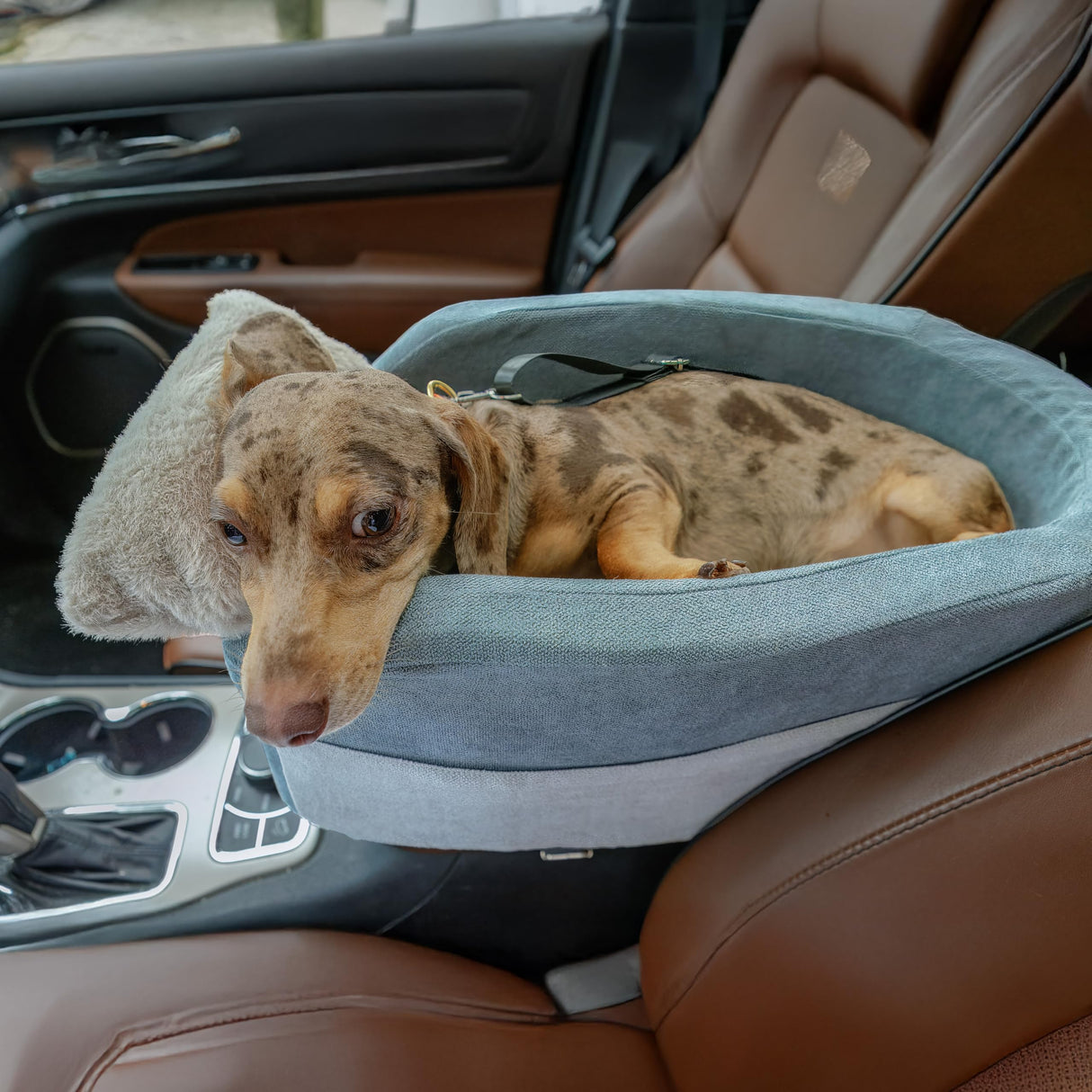 Center Console Dog Car Seat | 11 lbs MAX | Safety Straps & Leash | Comfortable Foam and Plush Pillows | Adjustable Mount Design | Large Storage Pockets | Perfect for Small Pets & Cats (Brown)