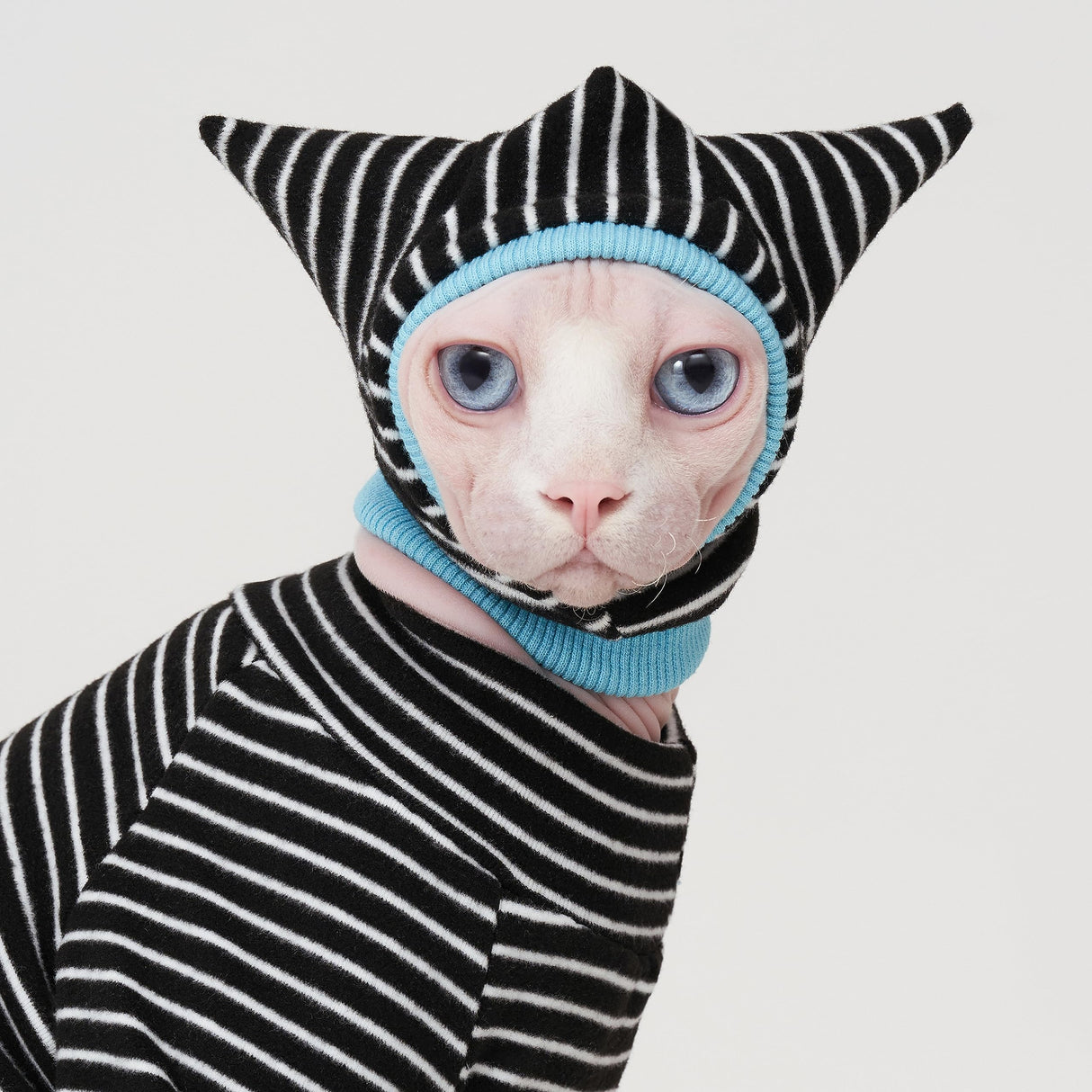 SNIXfever Sphynx Cat Clothes Black Stripe Breathable Shirts Suit, Pet Hat and Shirt Set (X-Large)