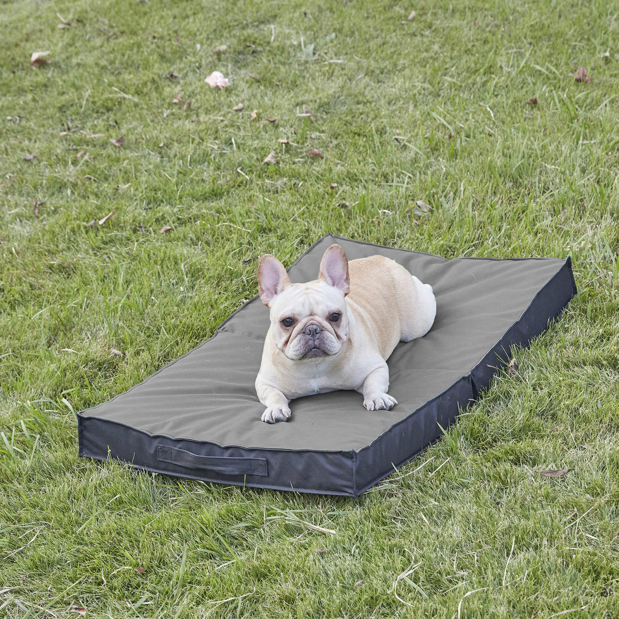 PETABBY Outdoor Dog Bed for Large Dogs, Waterproof & Washable, Foldable & Orthopedic, 41" All Weather