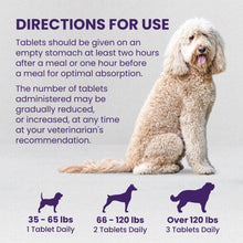 Load image into Gallery viewer, Nutramax Laboratories Denamarin Liver Health Supplement for Large Dogs - With S-Adenosylmethionine (SAMe) and Silybin, 30 Tablets(Pack of 1)