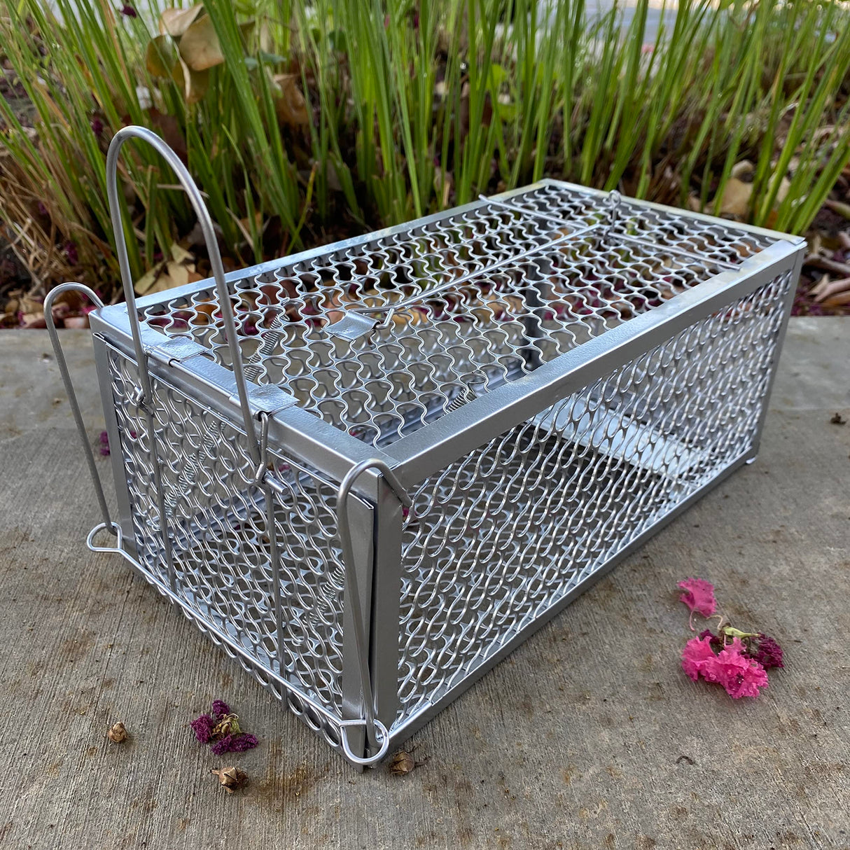 2PACK Live Humane Cage Mouse Trap Rat Catch Control Bait Hunting Survival for Indoor and Outdoor,Small Rodent Animal-Mice Voles Hamsters Cage (4.5x11x5.8 inch)