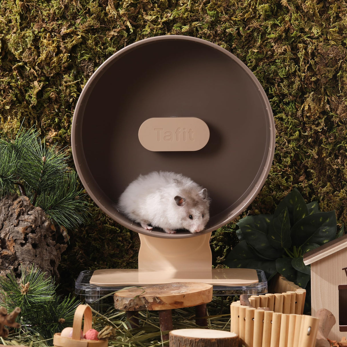 Tafit Quiet Hamster Wheel 10.2 Inch Dual-Bearings Silent Small Animals Running Exercise Wheel Height Adjustable for Syrian Hamsters, Gerbils, Rats, or Other Small Pets, Nut Brown