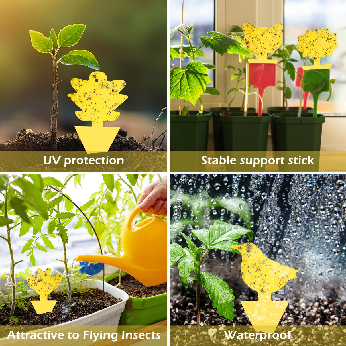 PESTCON 48PCS Yellow Gnat Traps for House Indoor, Gnat Sticky Traps for Plants, Suitable for Fruit Flies, White Flies,Mosquito,Indoor/Kitchen, Outdoor/Potted Plants(Non-Toxic, Dual Sided)