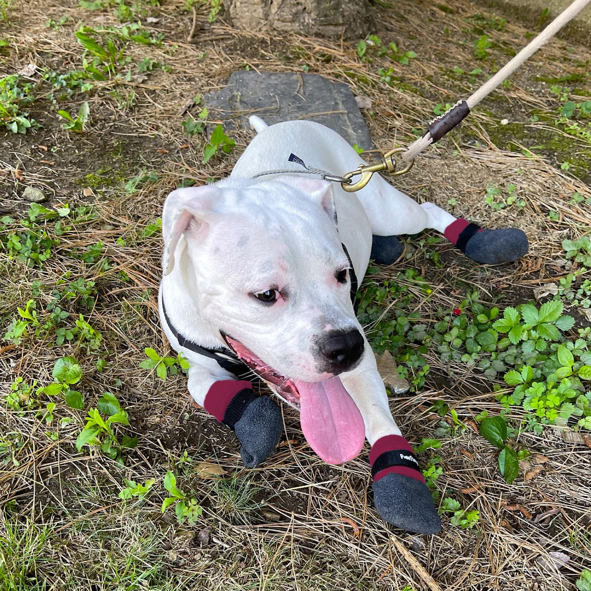 Double Dipped Thick Textured Waterproof Cotton Dog Socks | PawFlex Comfy Pawz Soft Indoor/Outdoor Pet Booties | Non-Slip Silicone Grip at Inner Wrist for No Twisting or Sliding Off| Adjustable Strap
