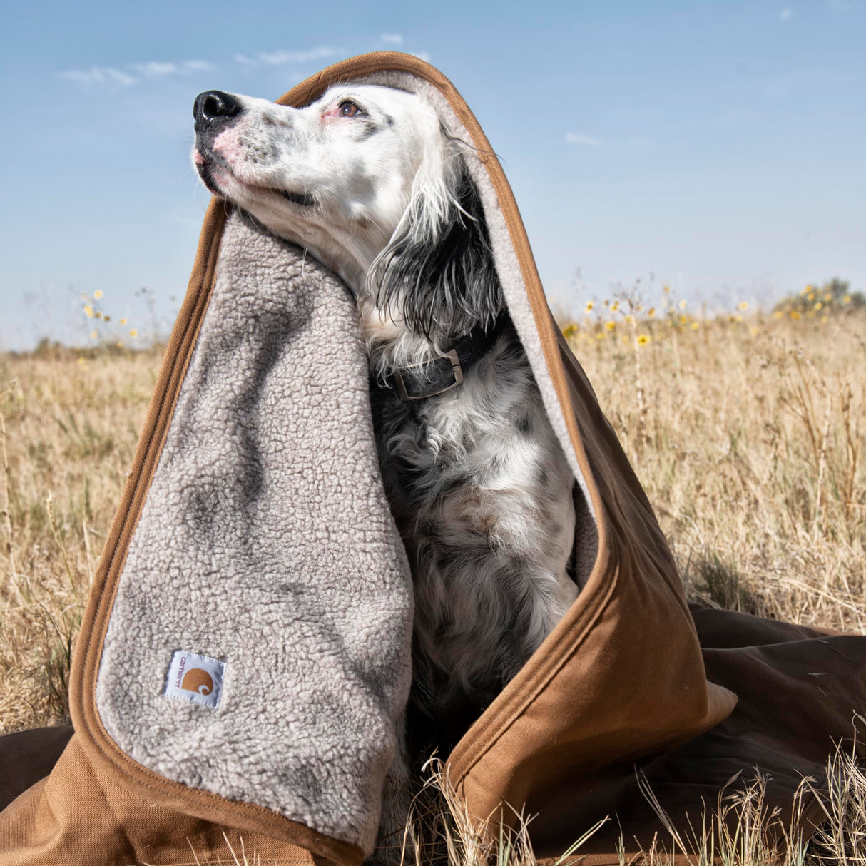 Carhartt Firm Duck Sherpa-Lined Throw Blanket, Reversible Pet Blanket, Carhartt Brown (Fleece/Canvas)