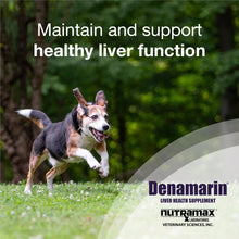 Load image into Gallery viewer, Nutramax Laboratories Denamarin Liver Health Supplement for Medium Dogs - With S-Adenosylmethionine (SAMe) and Silybin, 30 Tablets