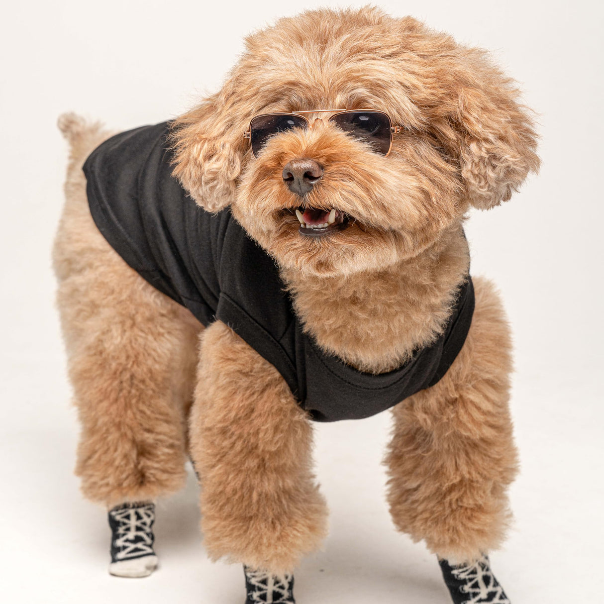 I'm Kind of an A(Problem) Dog Tee Shirt | Sleeveless Breeds | Do Not Pet | Funny Warning for Reactive or Moody Dogs |Black, X-Large 31