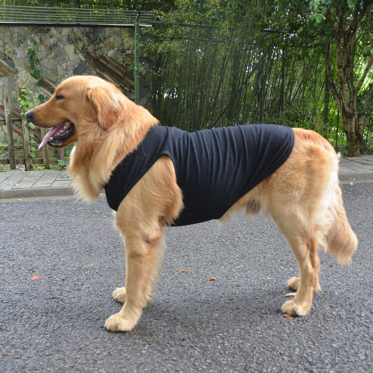 2018 Pet Clothes Dog Clothing Blank T-Shirt Tanks Top Vests for Small Middle Large Size Dogs 100% Cotton Dog Summer Vest Classic (XXXXL, Black)