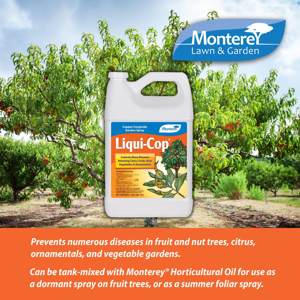 Monterey - Liqui-Cop - Copper Garden Spray Fungicide for Disease Prevention - 1 Gallon Concentrate